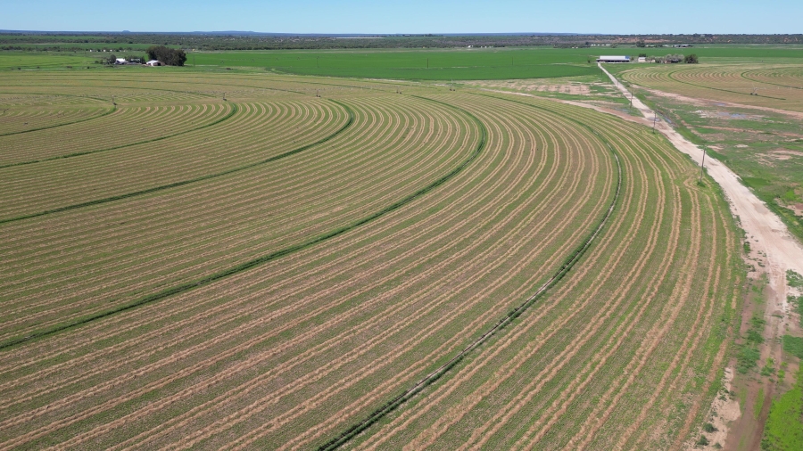 0 Bedroom Property for Sale in Douglas Rural Northern Cape